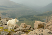 COLORADO HIGH COUNTRY - September 2013